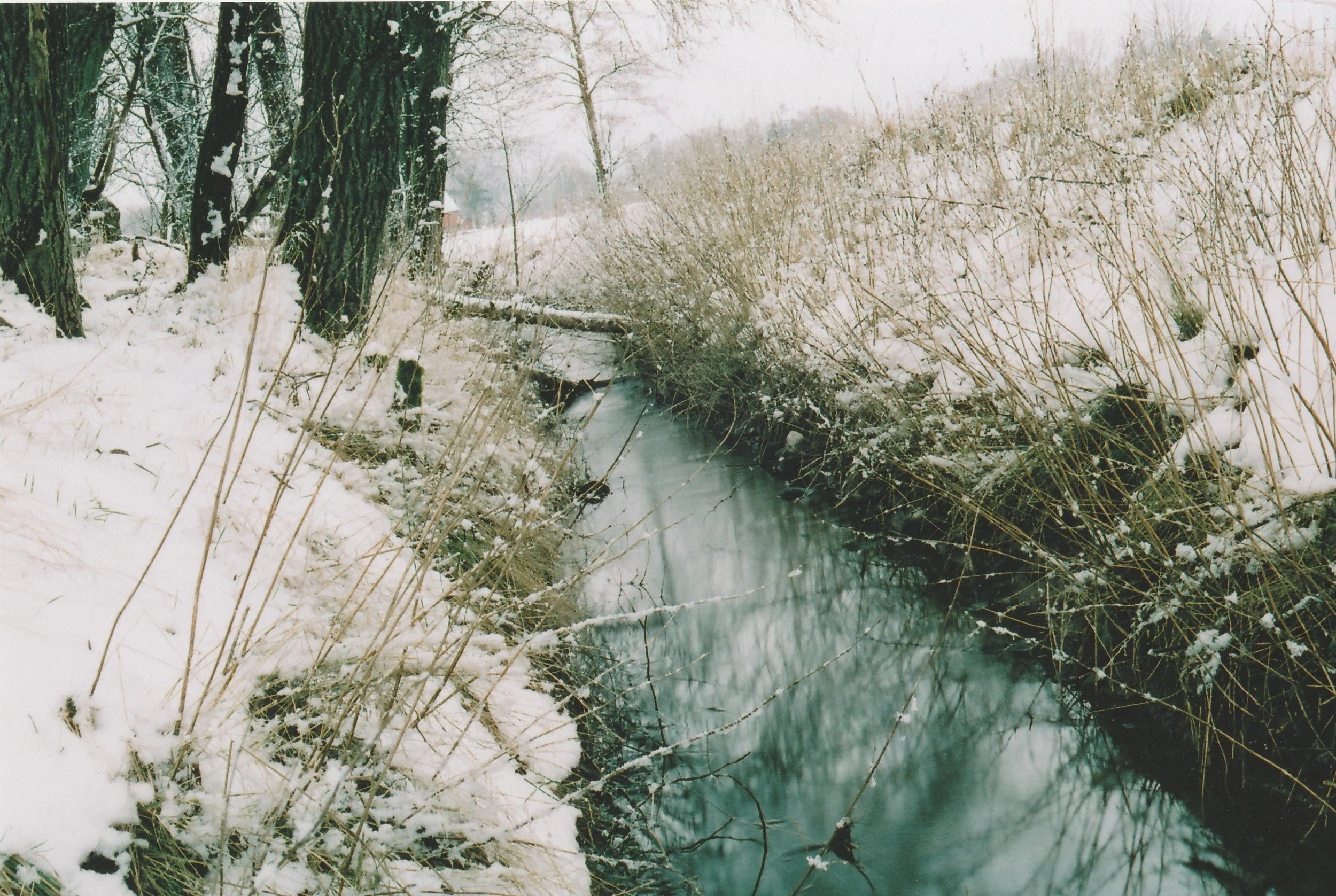 Cinestill 50D :: Color - Image 2