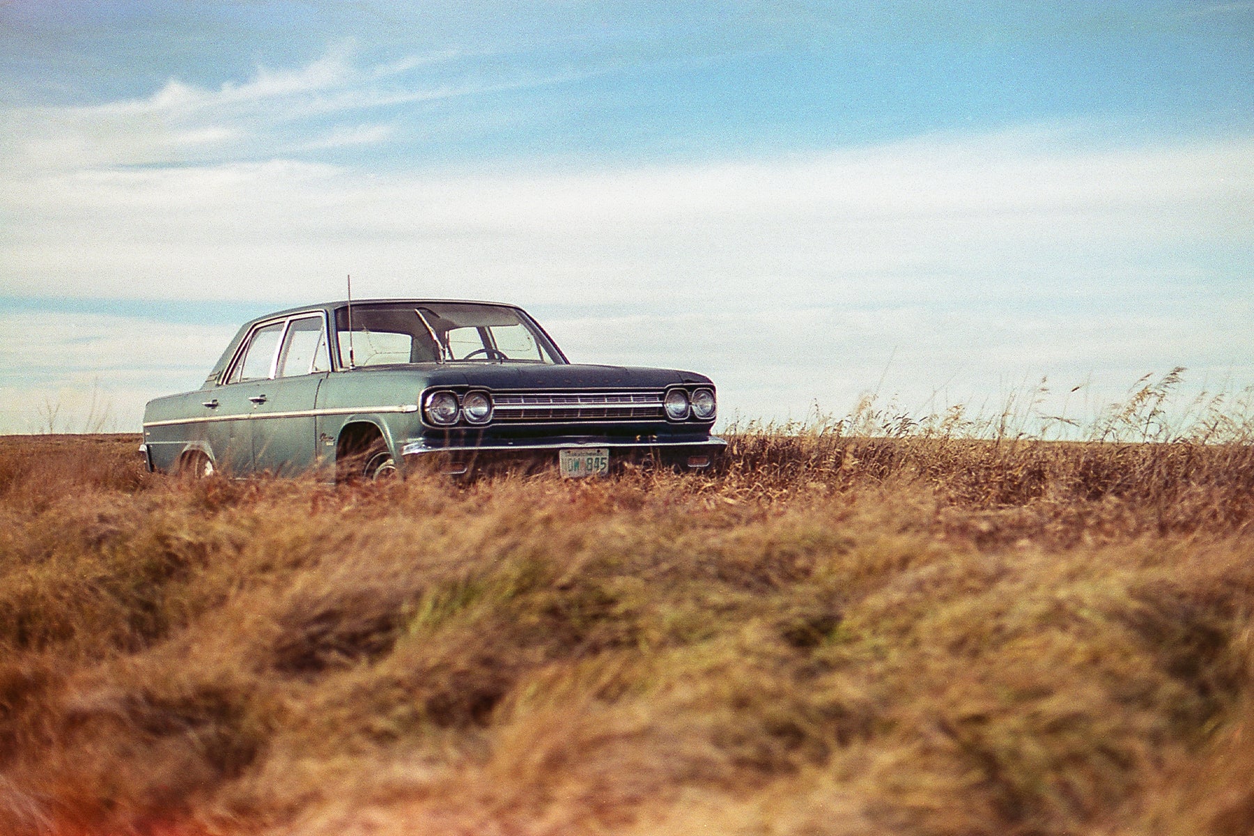 Cinestill 50D :: Color - Image 7