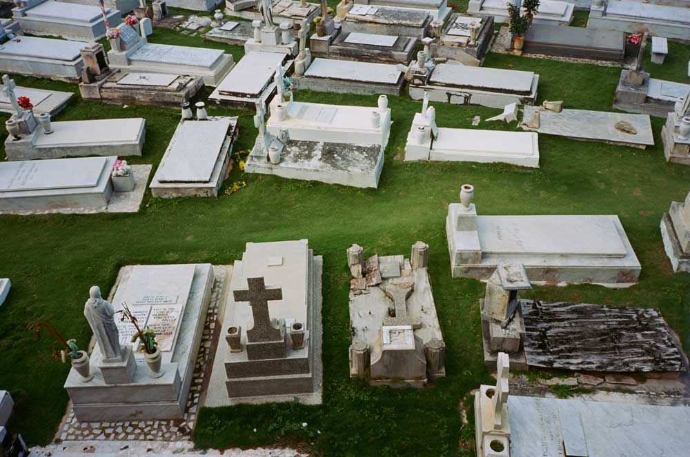 Kodak Ektar 100 :: Color - Image 3