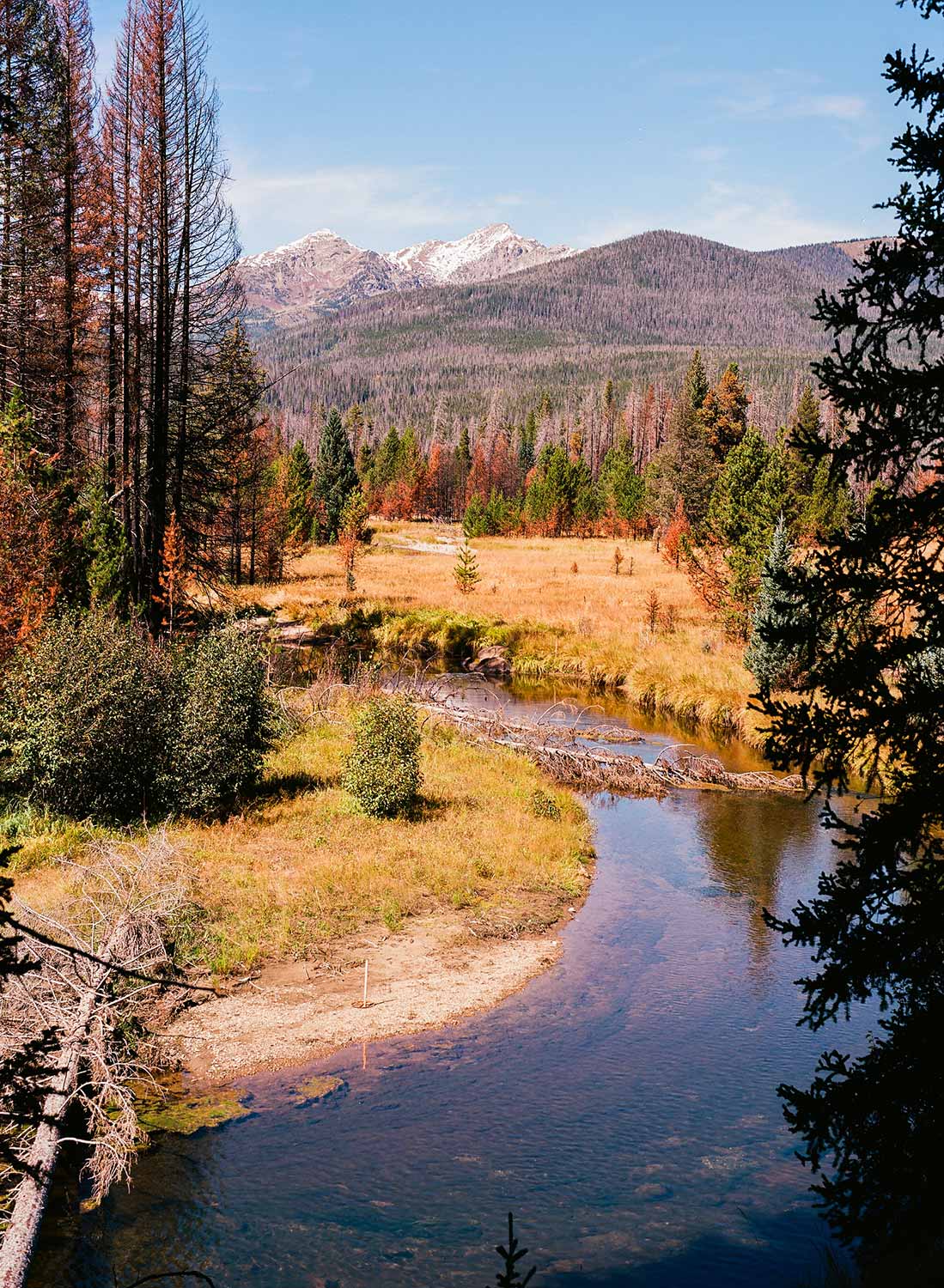Kodak Ektar 100 :: Color - Image 6