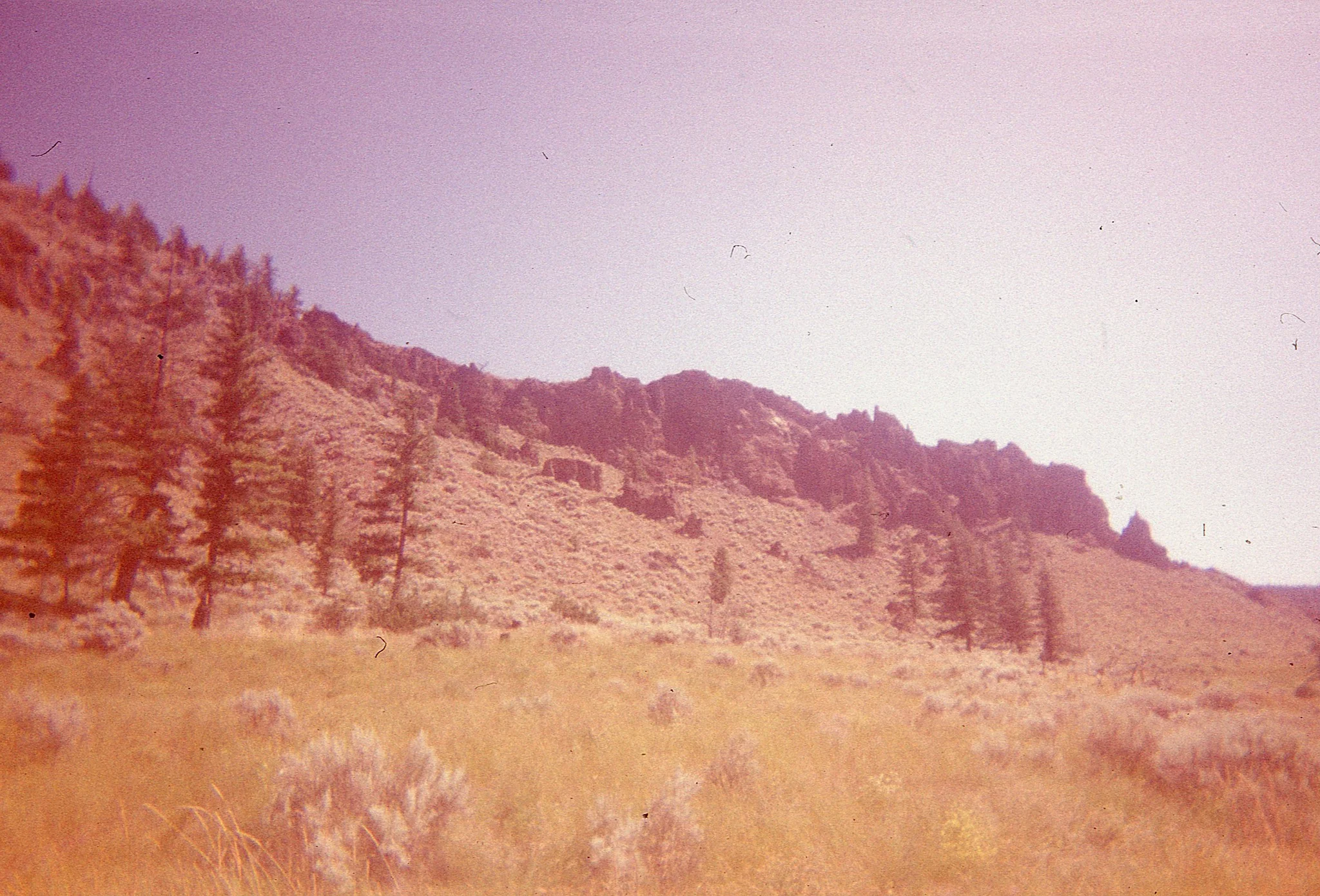 Random Expired Film - Image 7