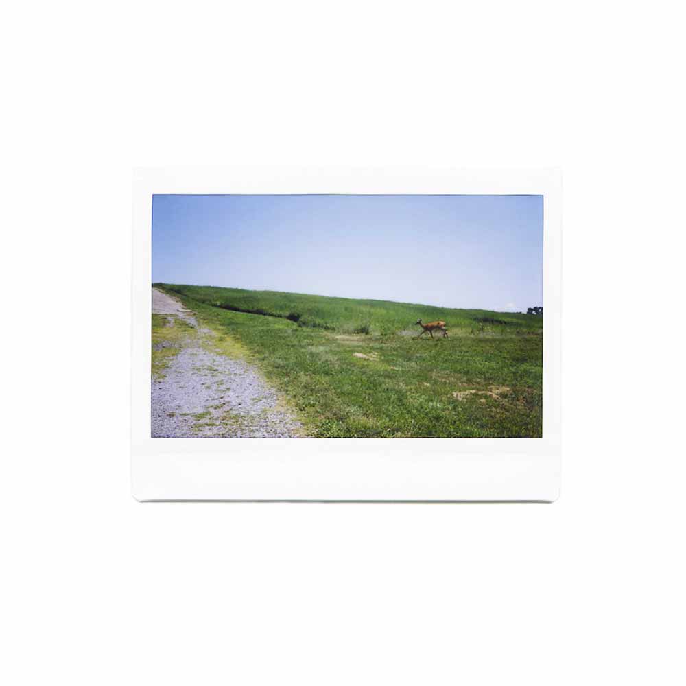 FujiFilm Instax :: Wide (twin pack) - Image 9