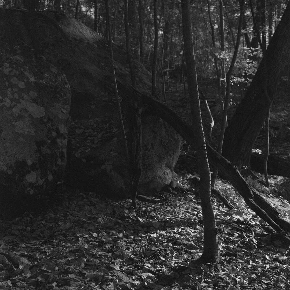 Ilford Delta 3200 :: B&W - Image 10