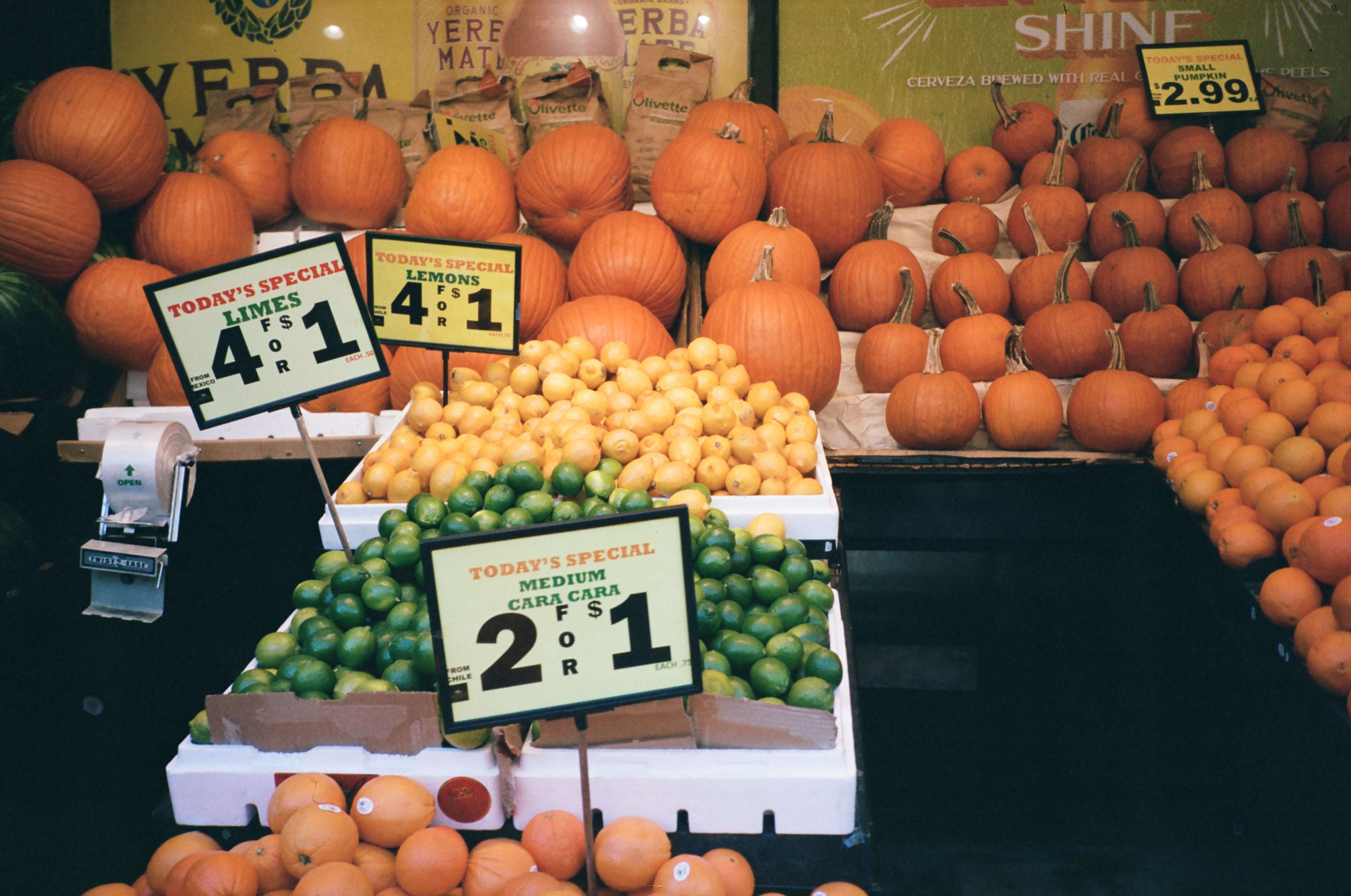Kodak Portra 400 Color - Image 5