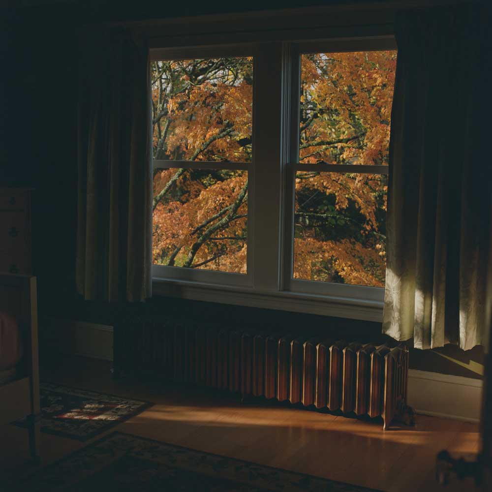 Kodak Portra 800 - Color - Image 5