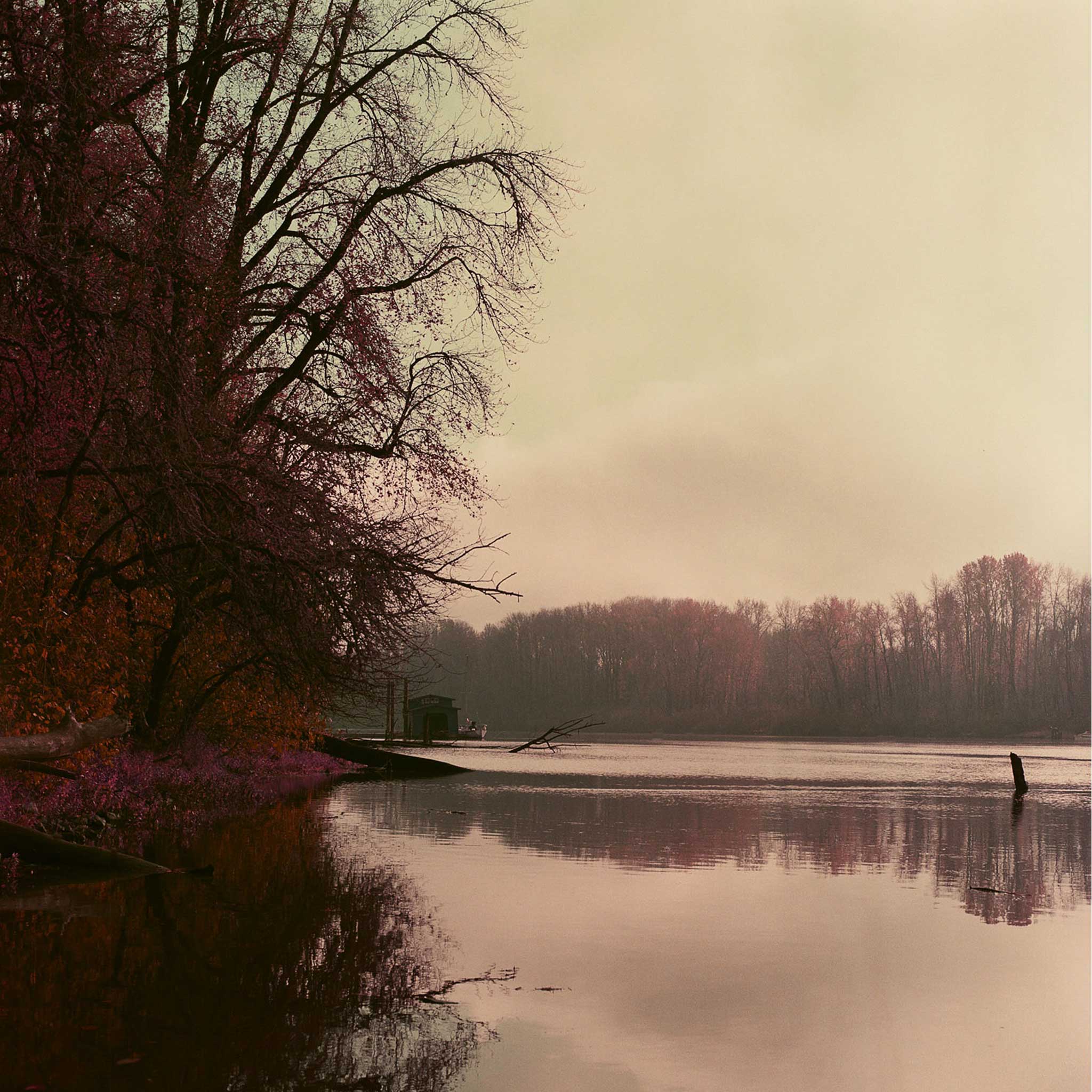 LomoChrome Purple | Color - Image 7