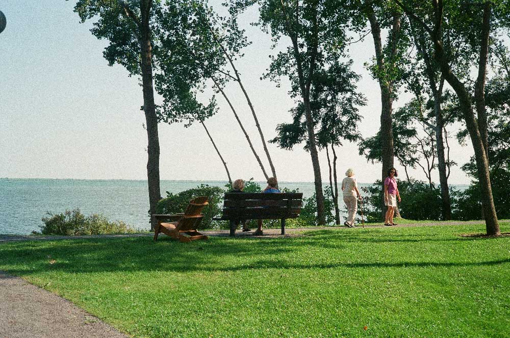 Lomography 400 | Color - Image 5