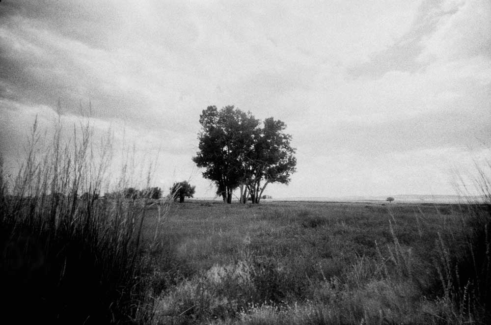 Lomography Lady Grey :: B&W - Image 2