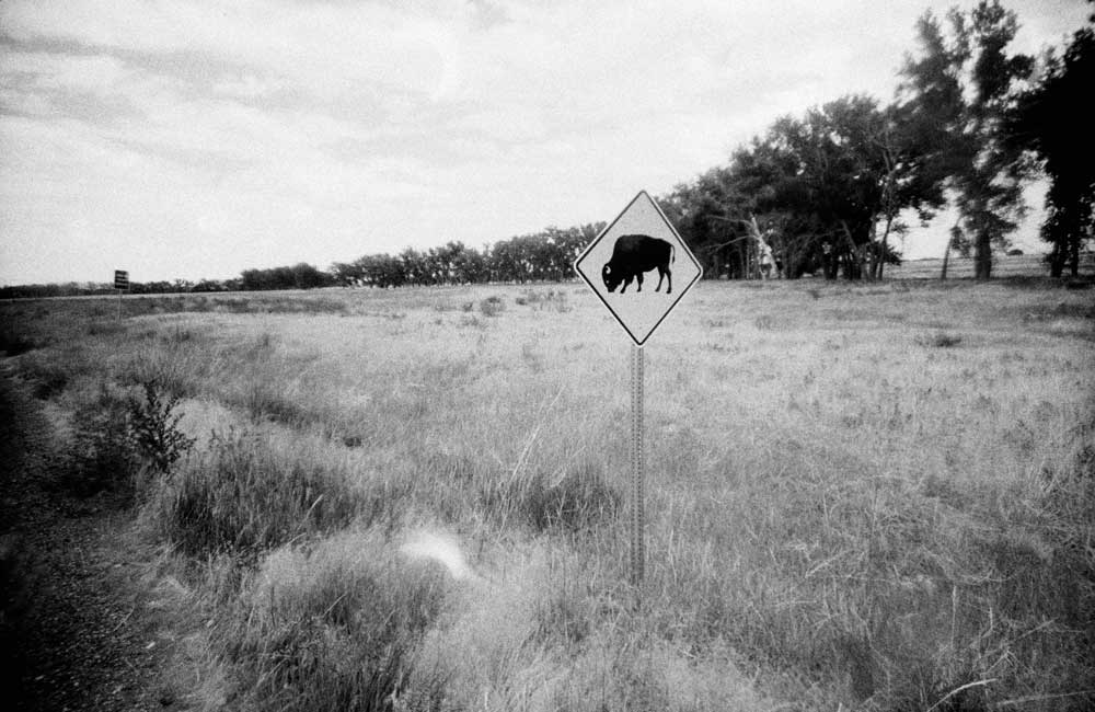 Lomography Lady Grey :: B&W - Image 8