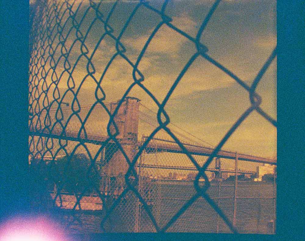 Lomography Lobster | Color - Image 4