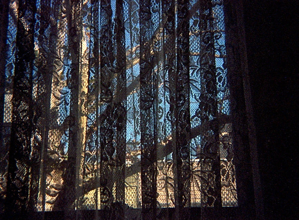 Lomography Tiger | Color - Image 6