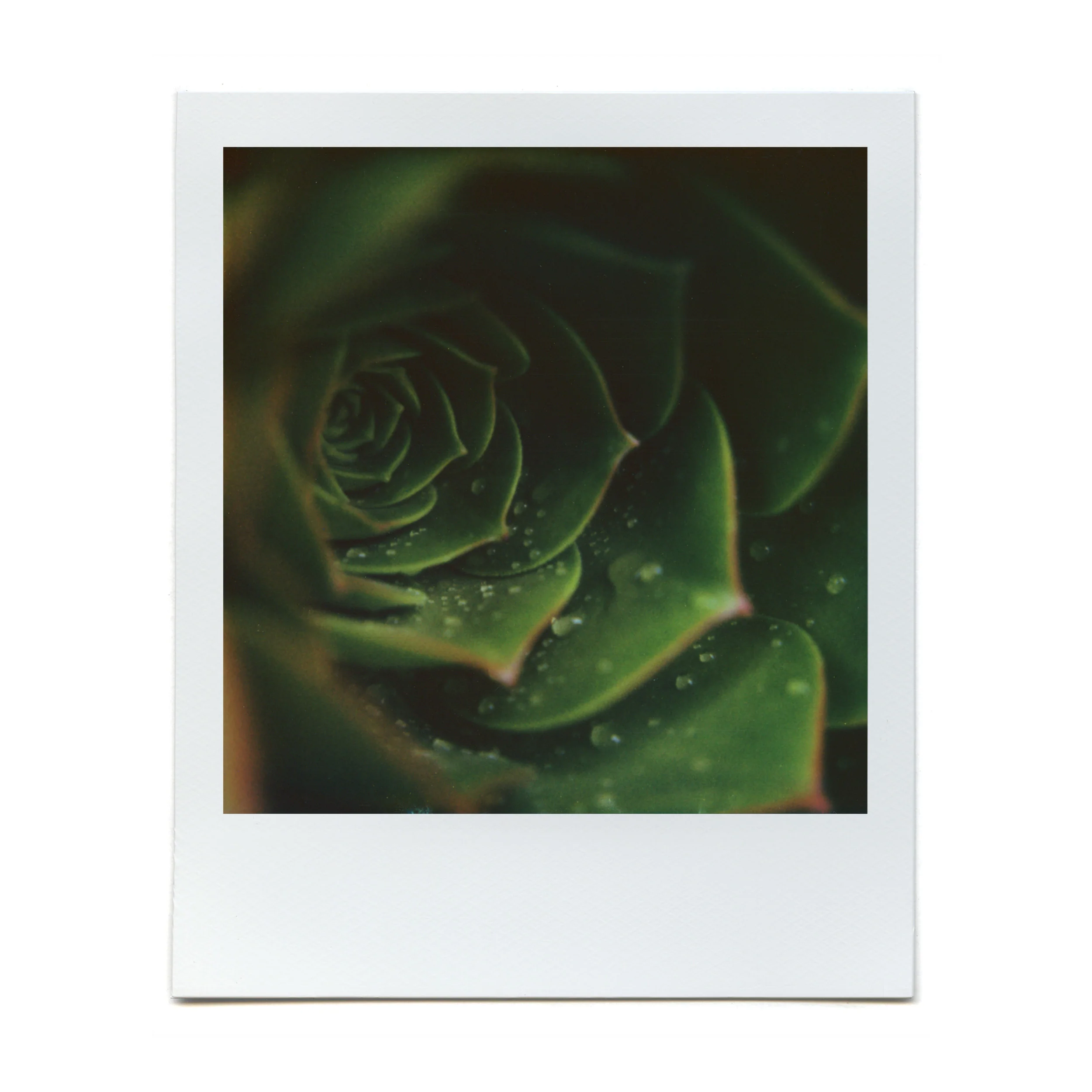 Macro Lens Set - Image 16