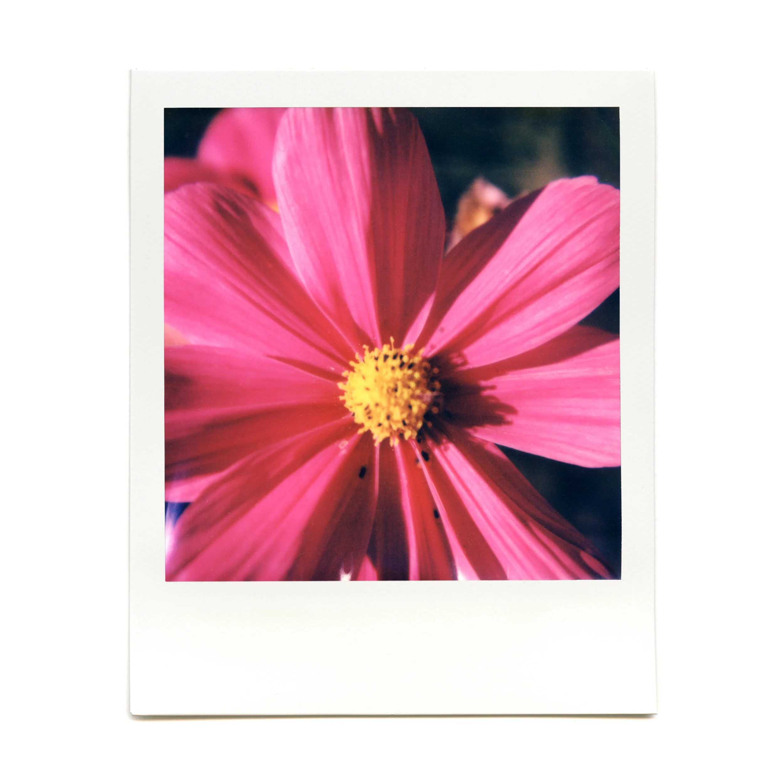 Macro Lens Set - Image 18
