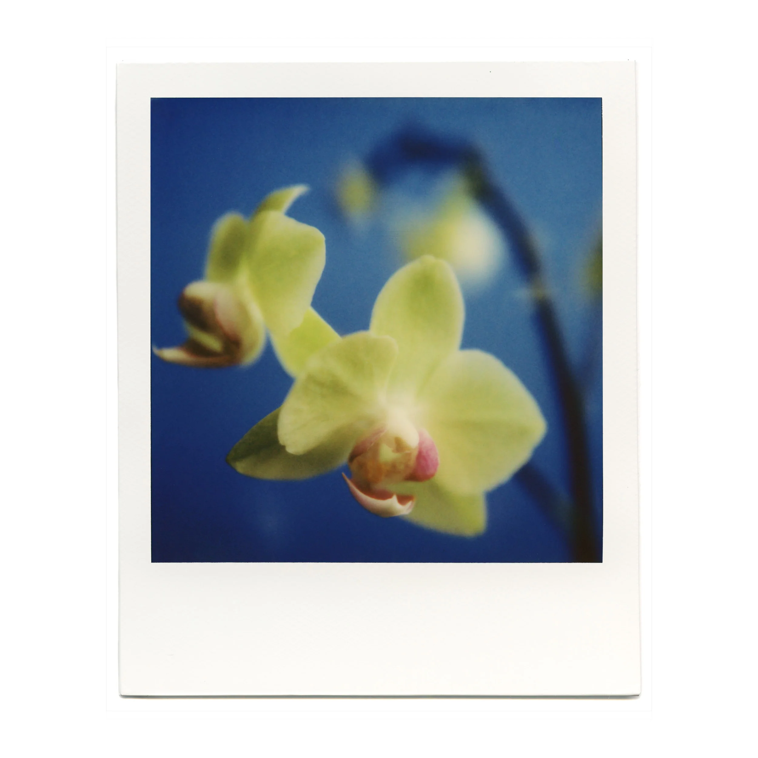 Macro Lens Set - Image 19