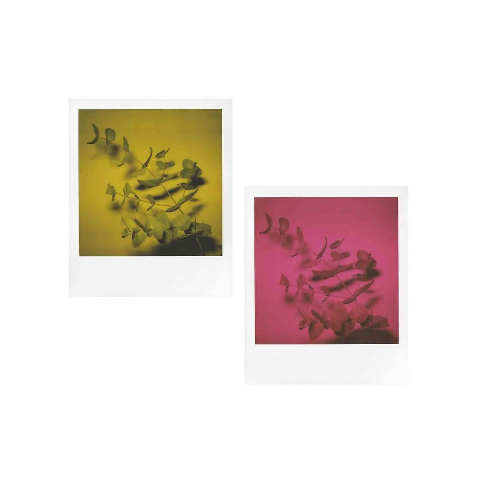 SX-70 Flashbar 2.0 :: by MiNT - Image 3