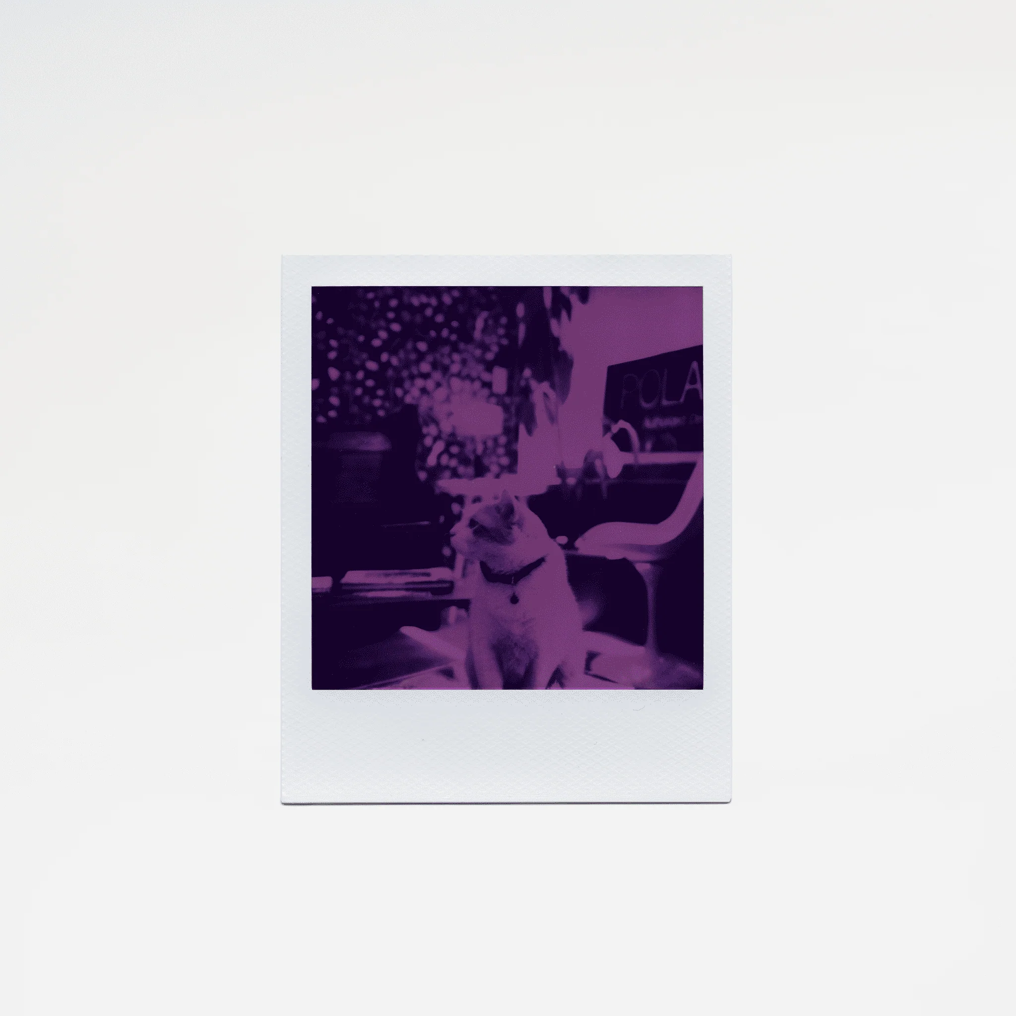 LIMITED EDITION: Polaroid 600 Reclaimed Purple - Image 2