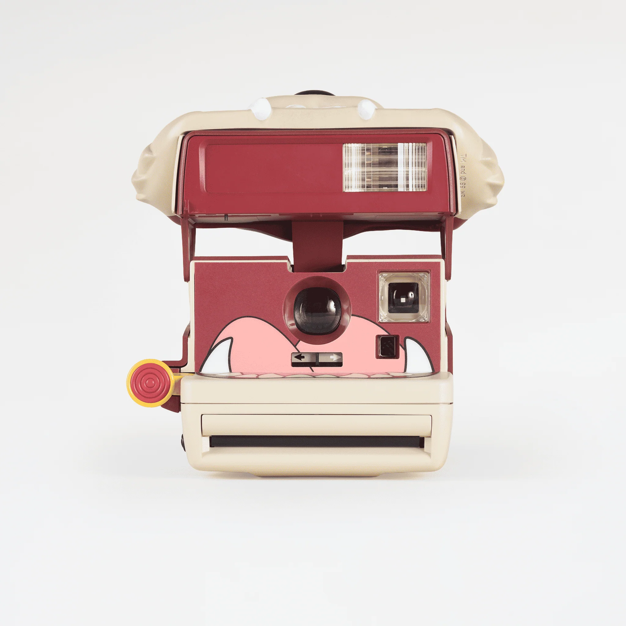 Polaroid 600 :: TAZ! - Image 4