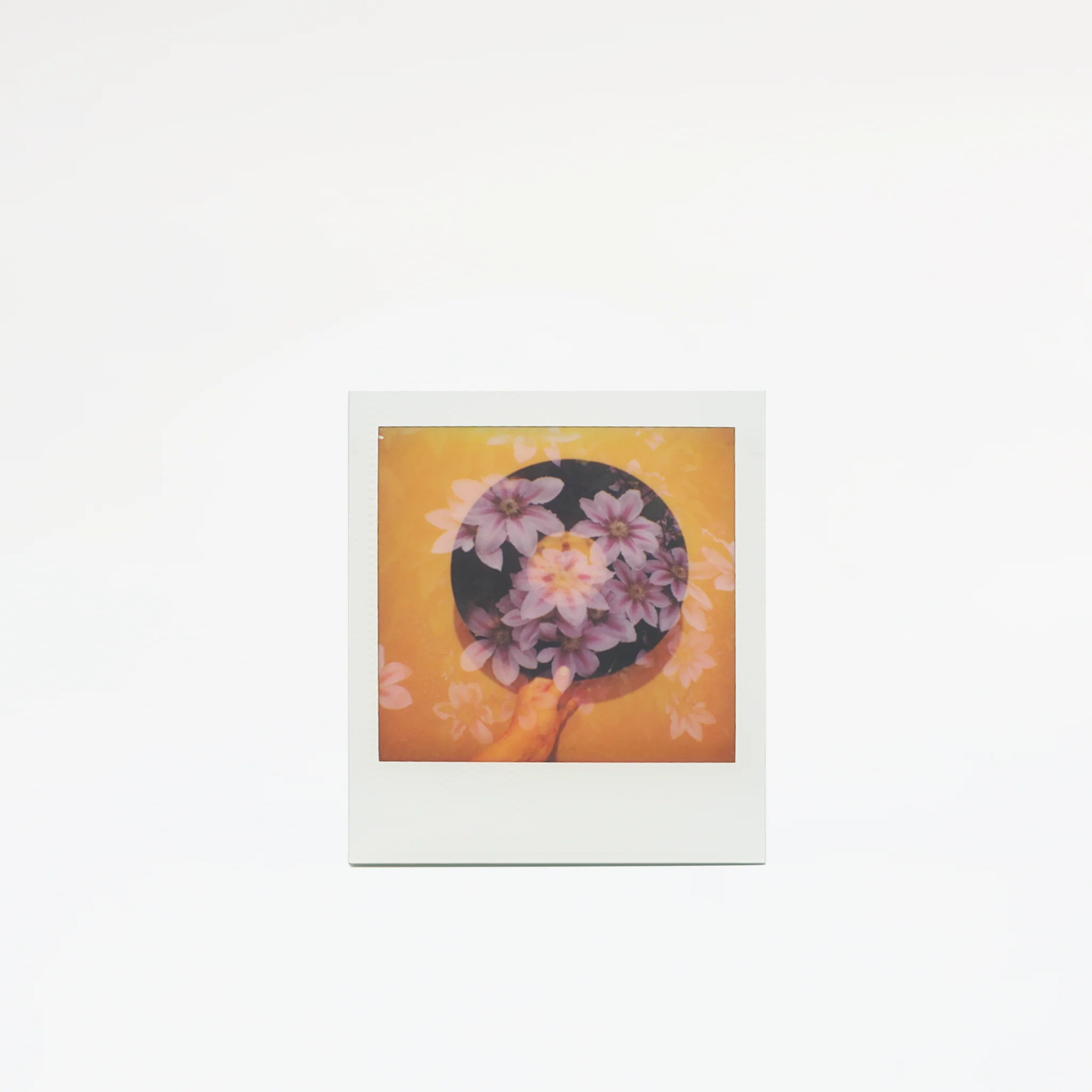 Polaroid GO :: Color Film - Image 3