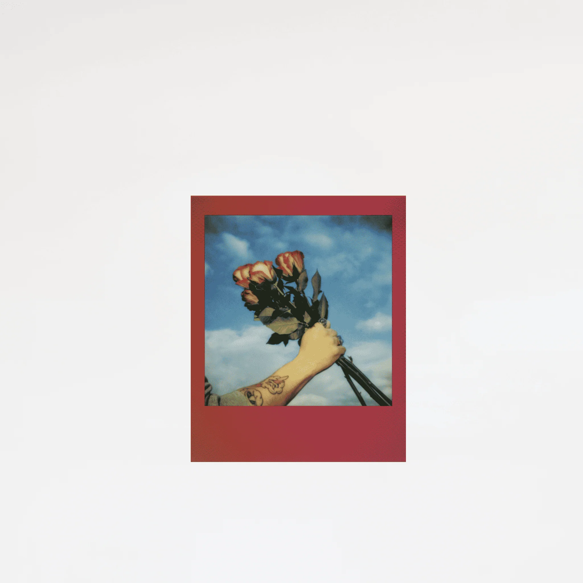 Polaroid GO | Color Film | Gradient Frames - Image 8